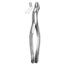 Dental Forceps American Pattern Fig# 10S