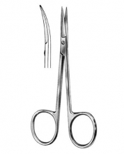 Delicate Scissors Iris