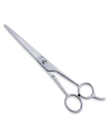 Economy Hair Scissor