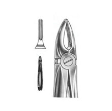 Dental Forceps English Pattern Martin Fig#113