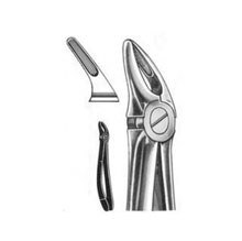 Dental Forceps English Pattern Guy Fig#13