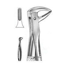 Dental Forceps English Pattern Guy Fig#137