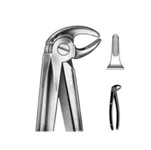 Dental Forceps English Pattern Fig#13