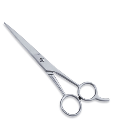 Economy Hair Scissor