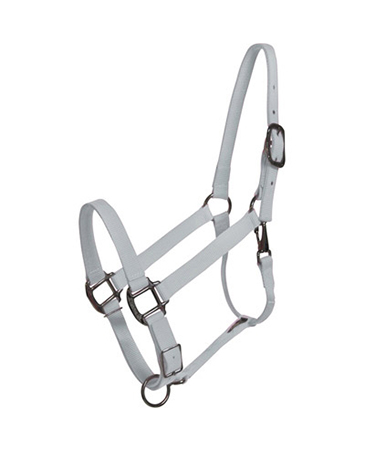 Horse Halter