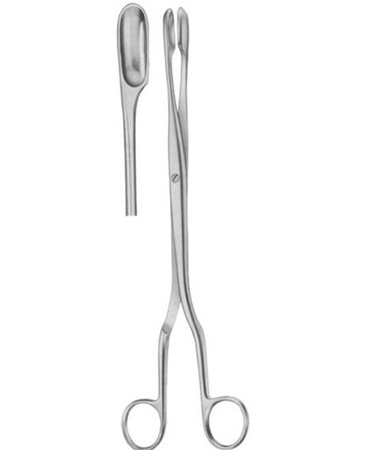 Winter Ovum Scalp Flap Forcep