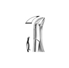 Dental Forceps American Pattern Fig# 16