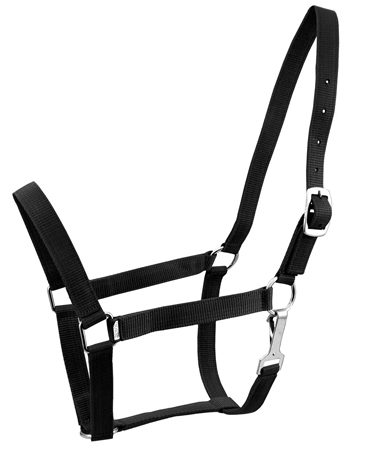 Horse Halter