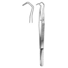 Dental Pliers college