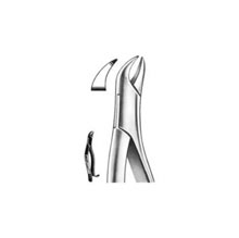 Dental Forceps American Pattern Fig# 16S
