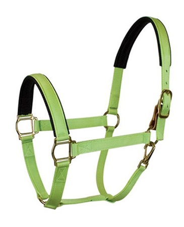 Horse Halter